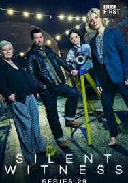无声的证言第二十九季电视剧